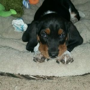 Meet your Posher, Amy